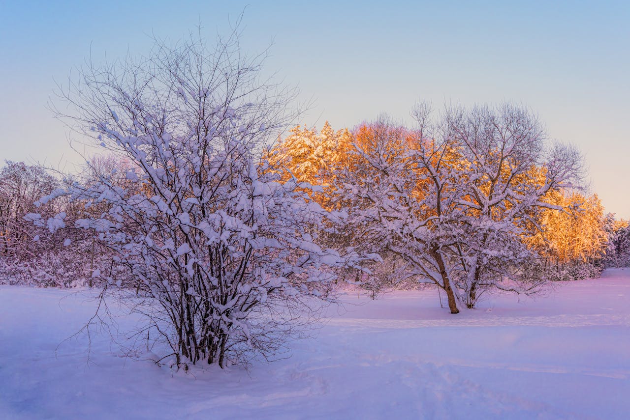 "And finally Winter, with its bitin', whinin' wind, and all the land will be mantled with snow." Roy Bean
